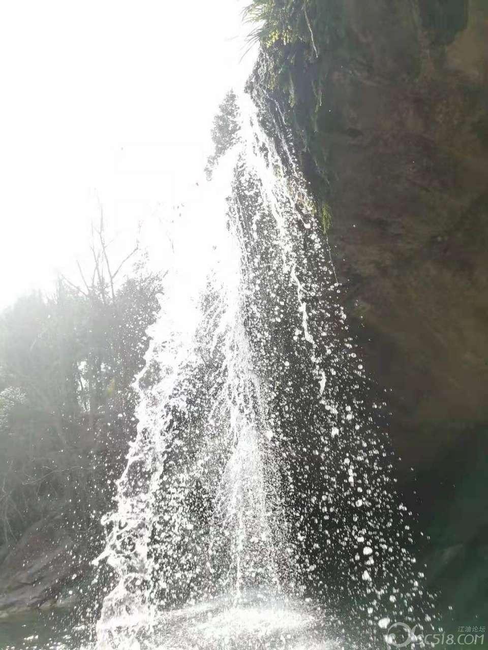 拯救老科学家
