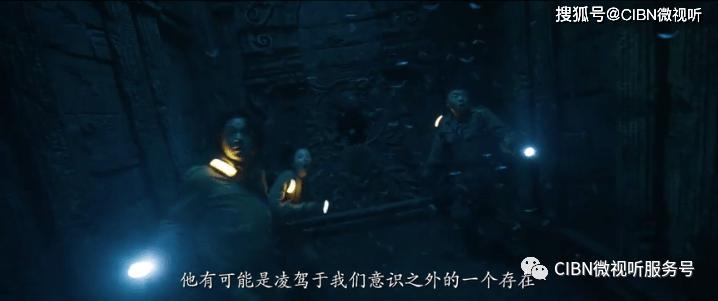 male和female是什么意思